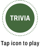 Trvia open