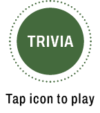 Trvia open