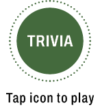Trvia open
